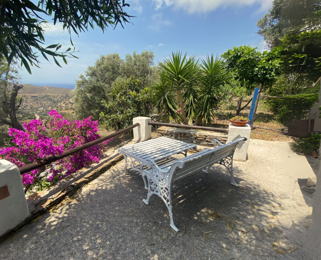 Kotseli Suite - Andros Accommodation (12)